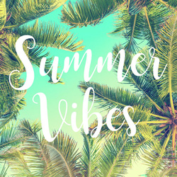 Summer Vibes dressage to music